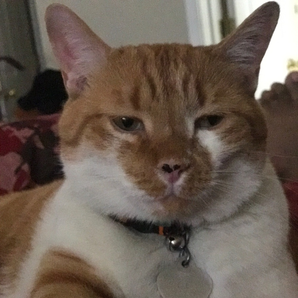 Meet your Posher, Angela